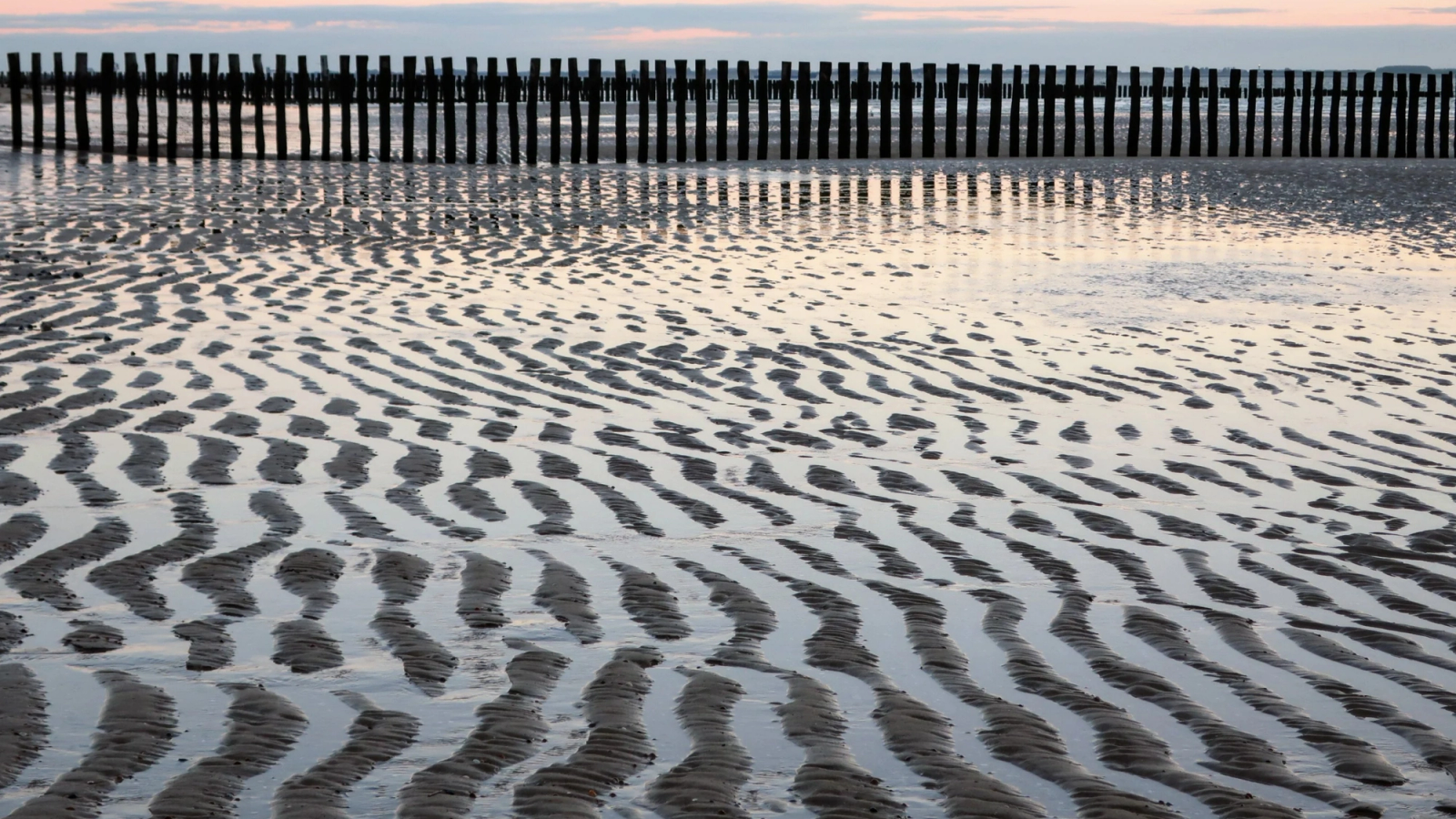 Rippled wet sand reflecting the sky, with a row of wooden posts in the background.