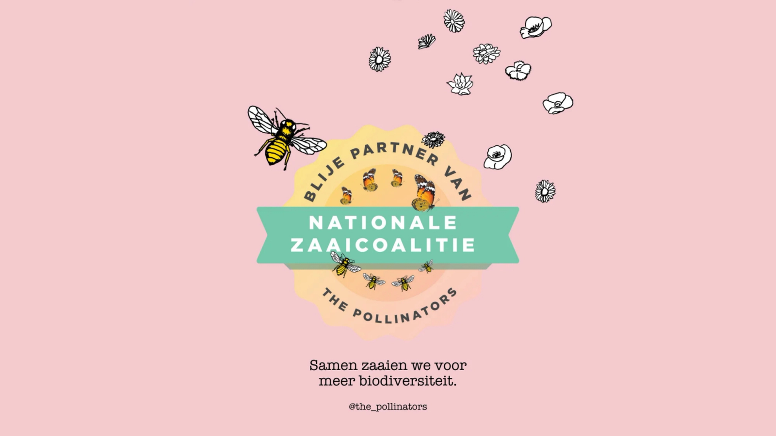 Ein Logo für die „Nationale Zaaicoalitie“ und „The Pollinators“ auf rosa Hintergrund, mit Abbildungen von Bienen, Schmetterlingen und Blumen sowie einem Text über das Säen für mehr Artenvielfalt.