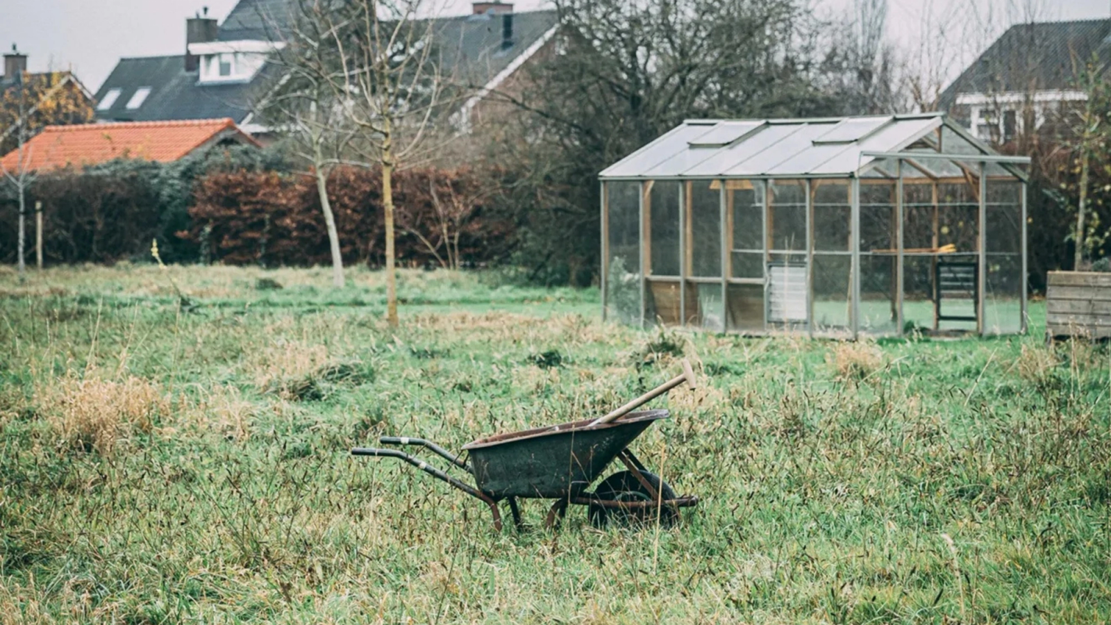 A wheelbarrow in a grassy field with a greenhouse and houses in the background.
