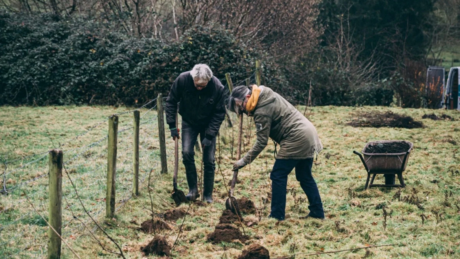 Two people planting in a grassy field.