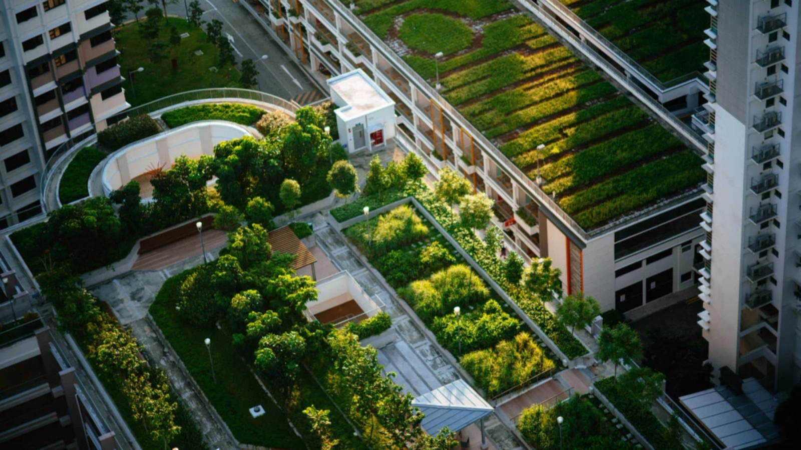 Aerial view of buildings with extensive green roofs and rooftop gardens.