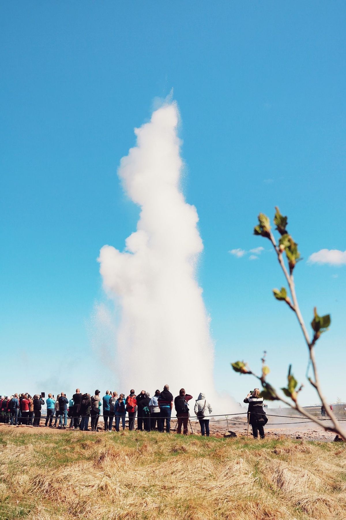 A photographer with a tree in the foreground framing Strokkur mid-eruption