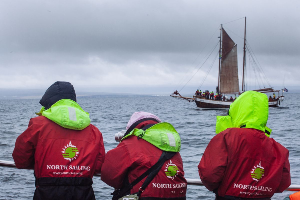 Tourists on a whale watching tour
