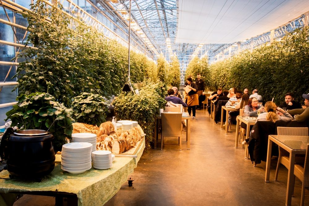 A tourist sitting and enjoying tomato soup inside the Fridheimar greenhouse tomato farm on Iceland’s Golden Circle route