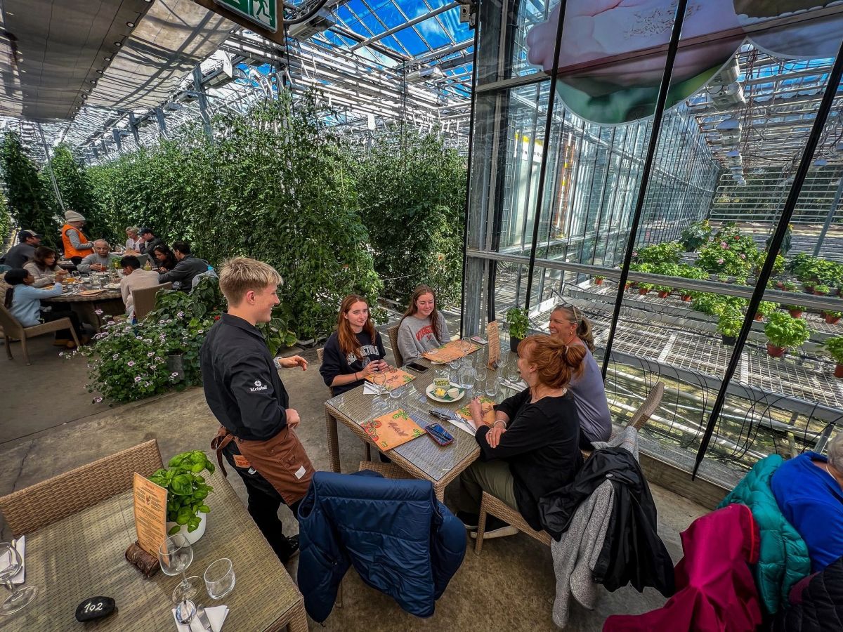 Fridheimar greenhouse restaurant with tomato vines and diners