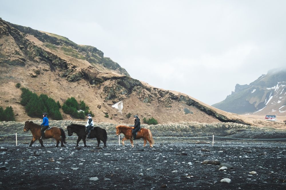 Horse Riding Tour