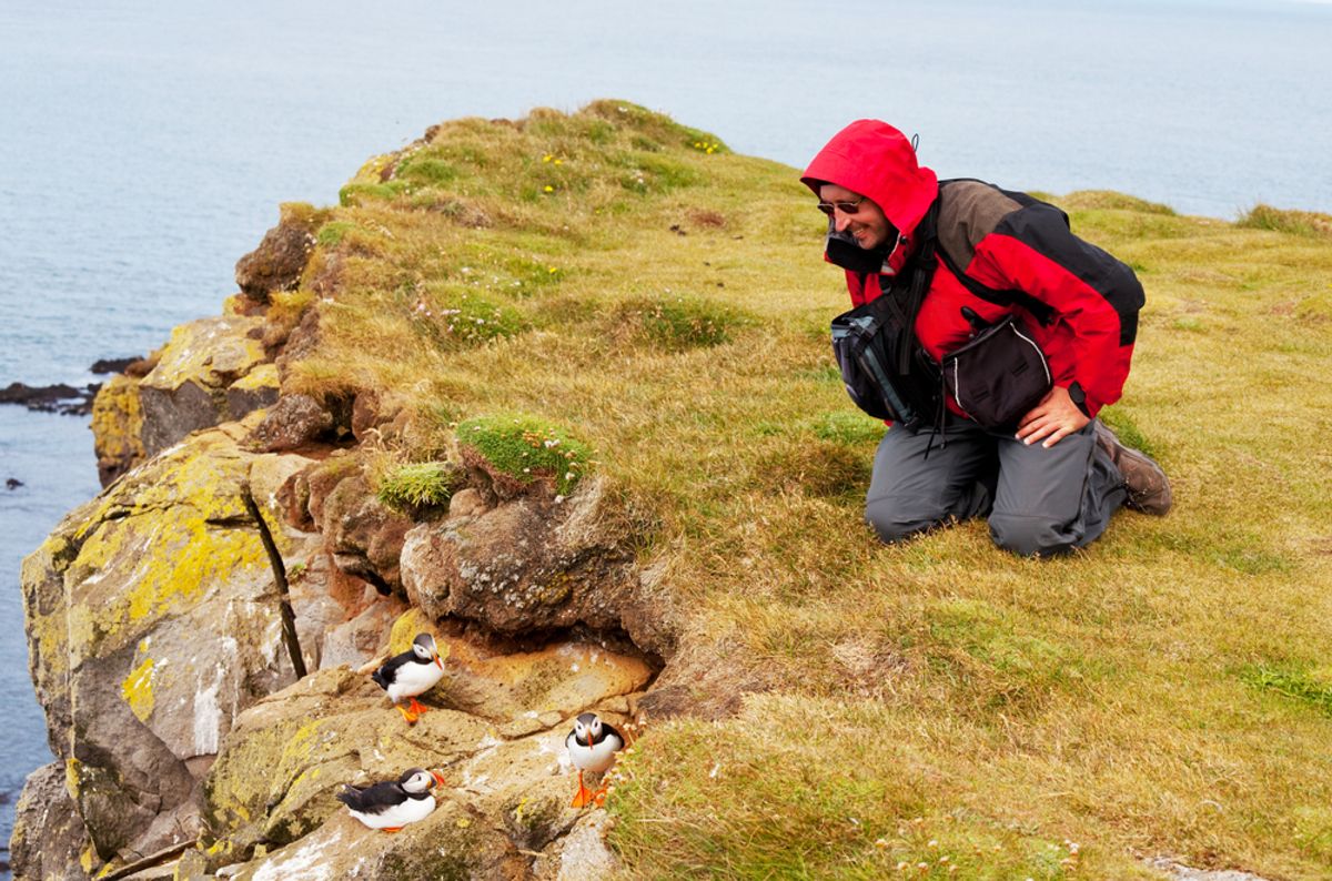 Tourists watching puffins on a coastal cliff