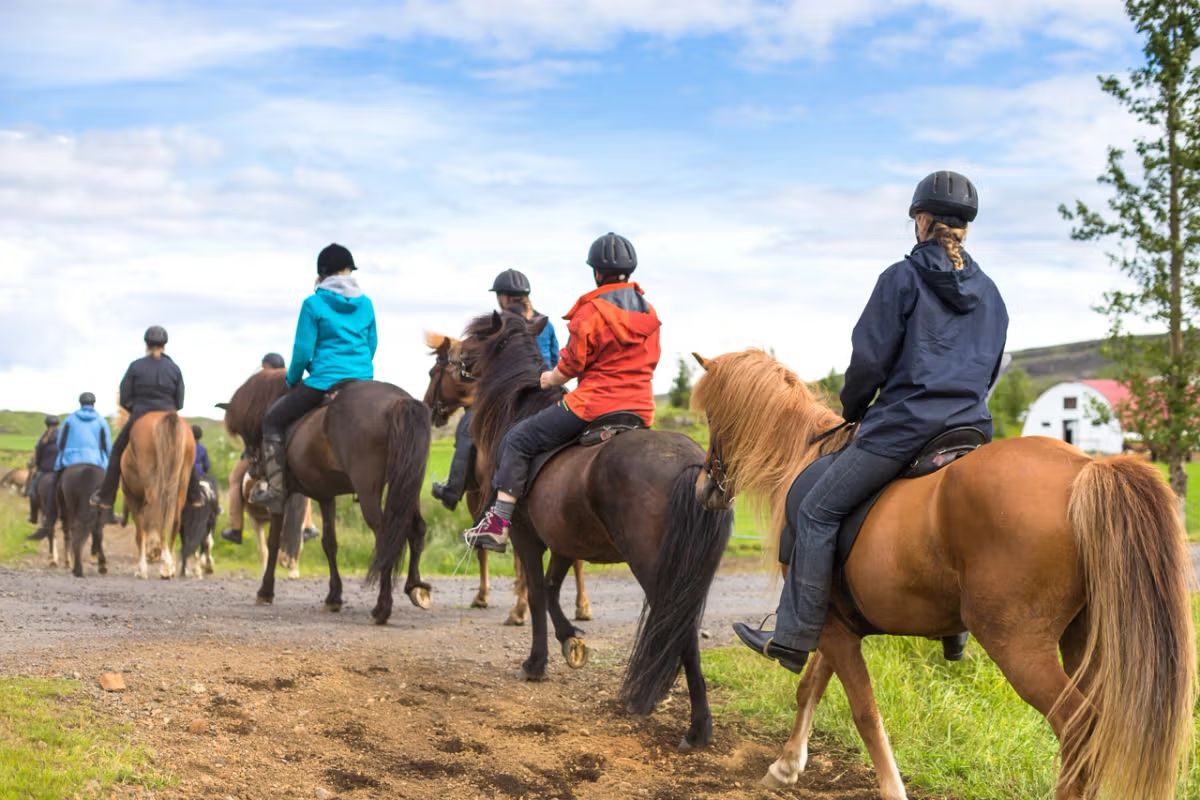 Why Choose a Private Golden Circle Tour in Iceland for Your Adventure?