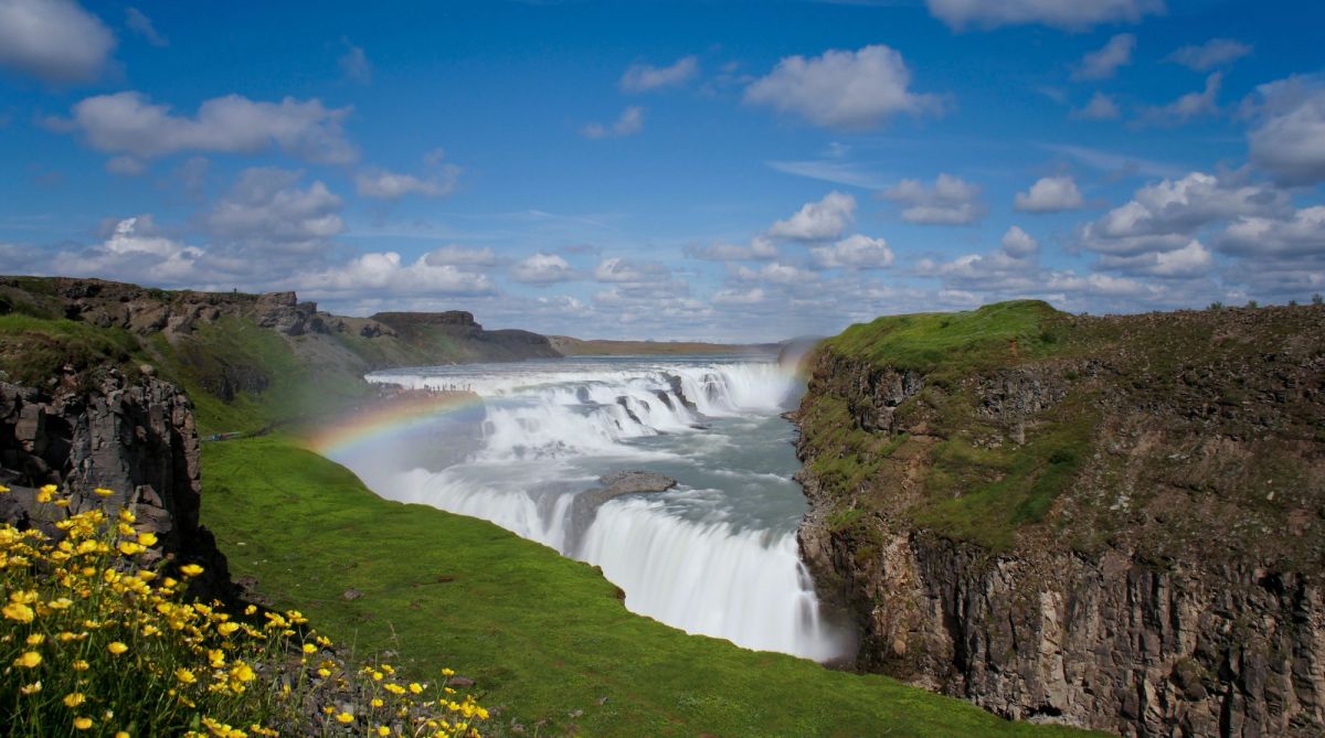 Gullfoss with a rainbow in the spray above summer wildflowers