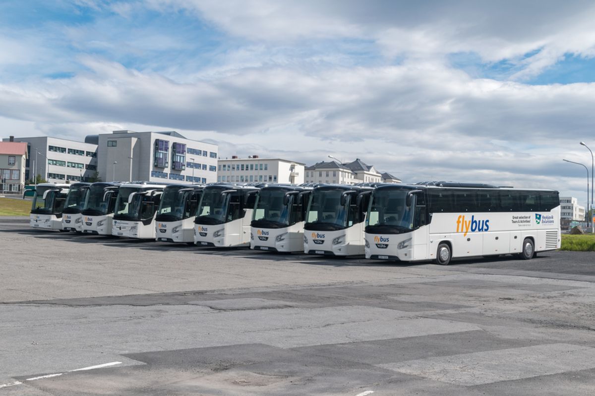 Flybus busses at BSI Bus Terminal