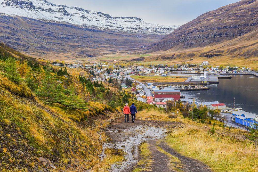 Landscape View Of The Fjord Town On The Trail To Tvisongur Sound Sculpture, Seydisfjordur, Iceland