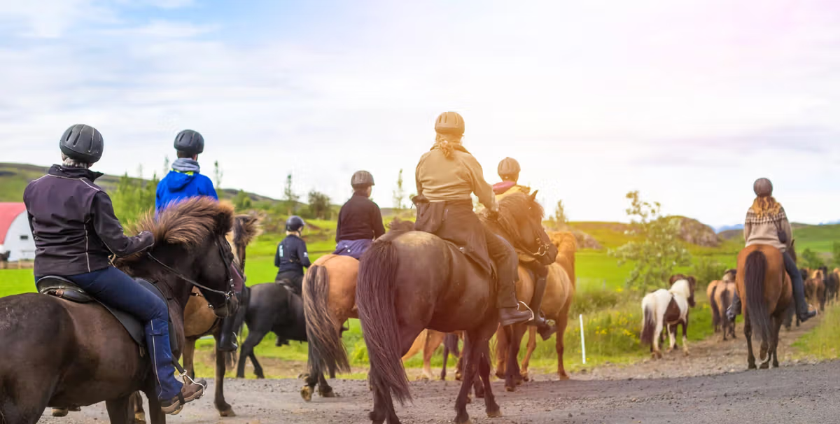 Horse Riding Tours in Iceland: Everything You Need to Know