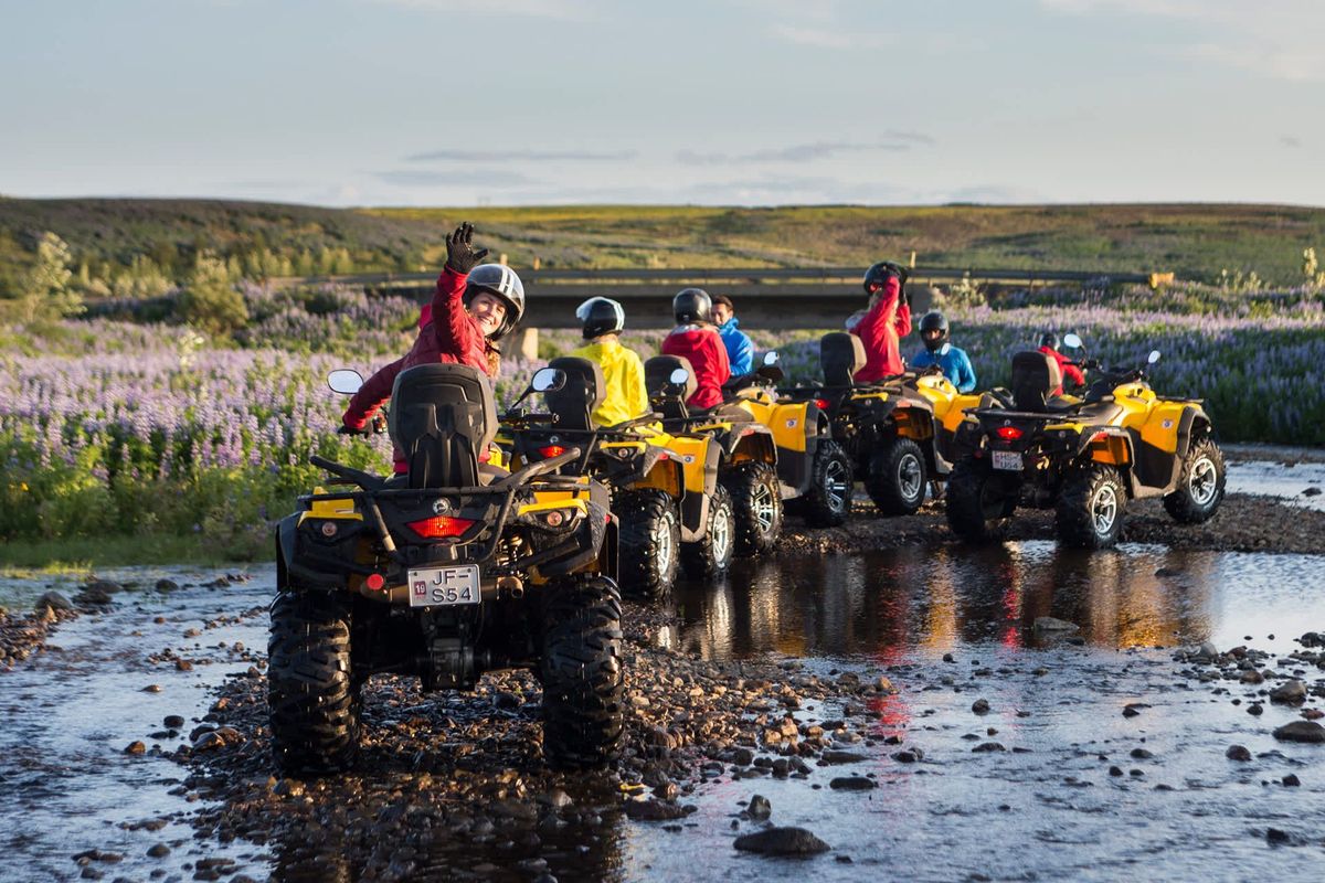 Two ATV riders crossing a river with lupine flowers on the bank