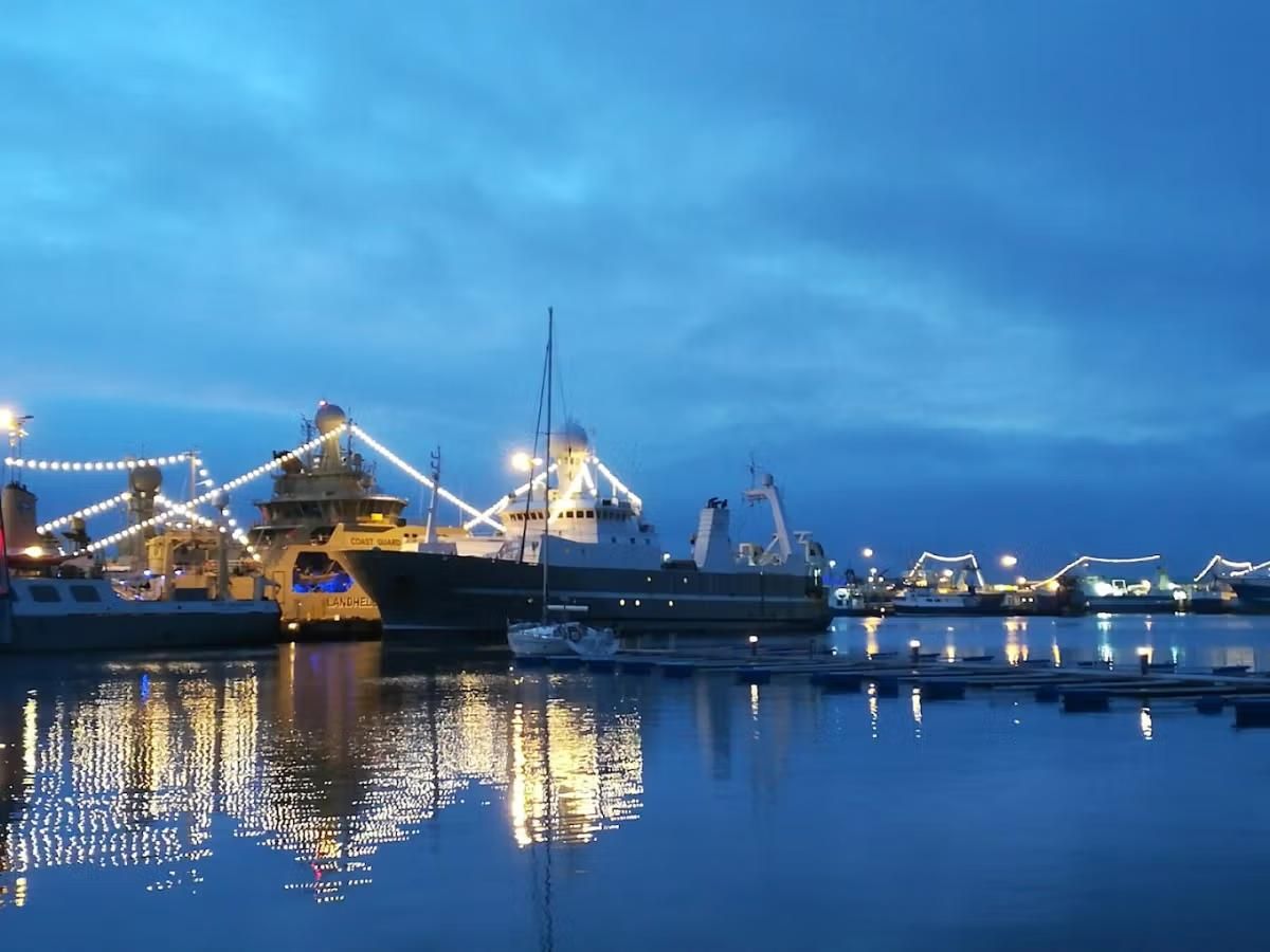 Boats lit up in a harbour at dusk