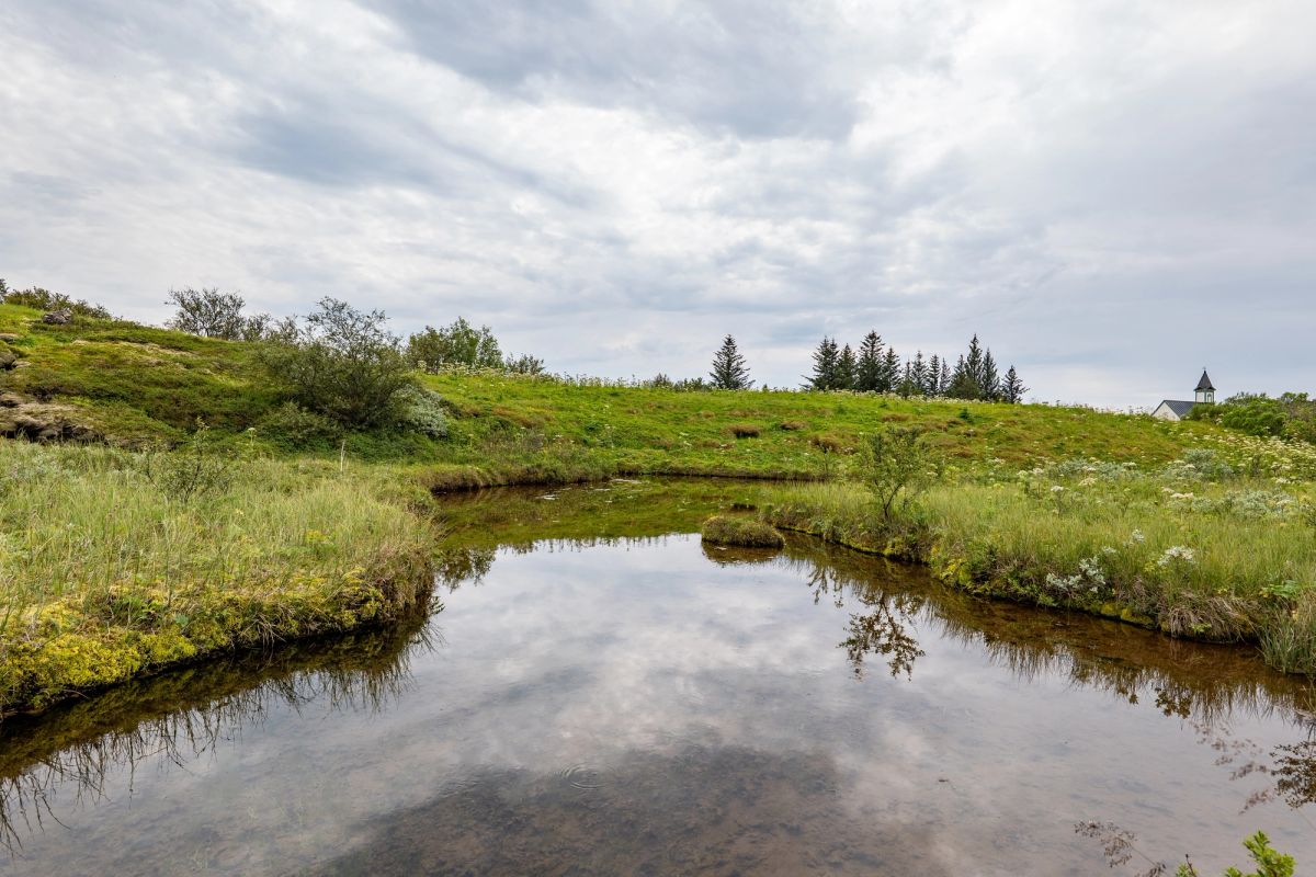 Thingvellir national park and river in Iceland