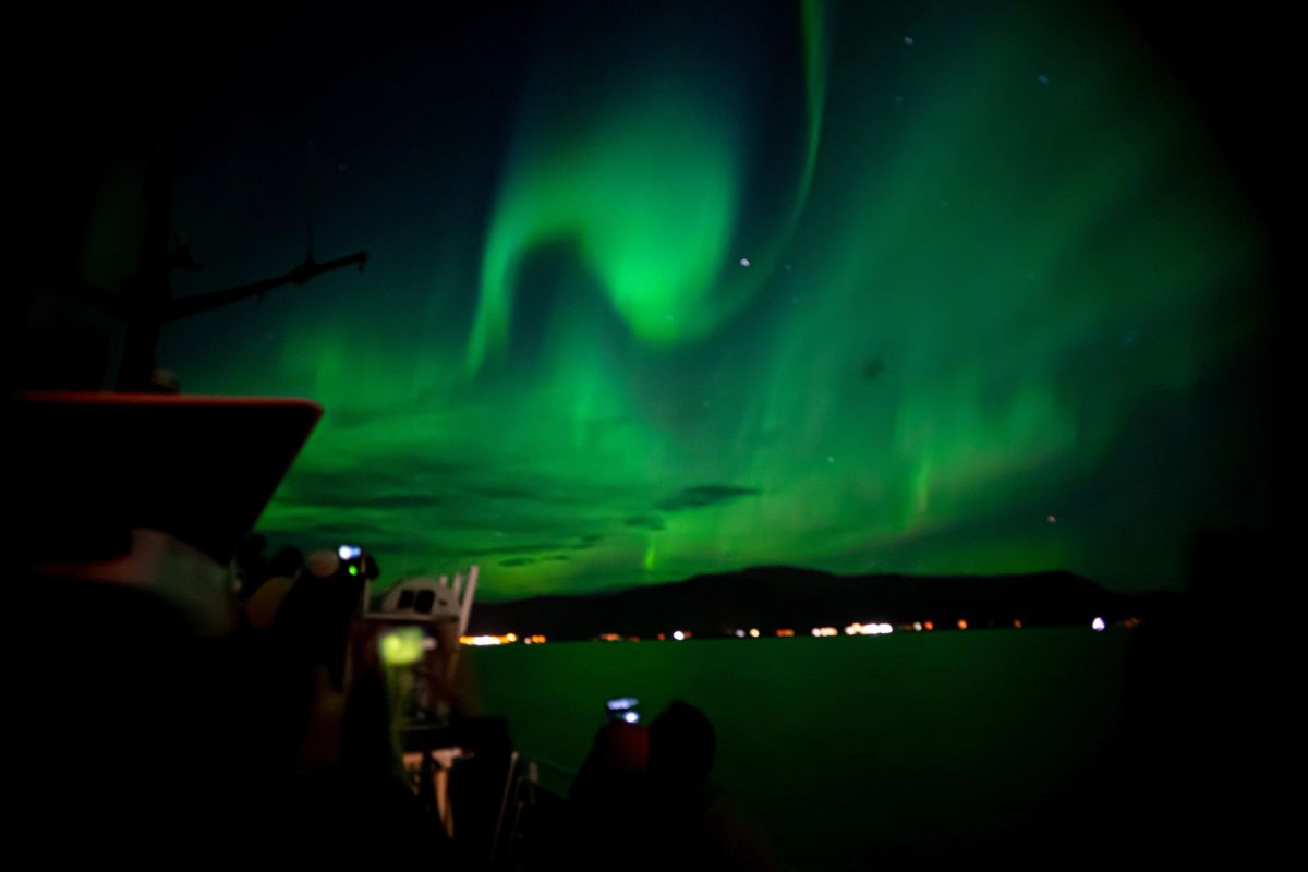 People photographing the aurora with phones from a boat