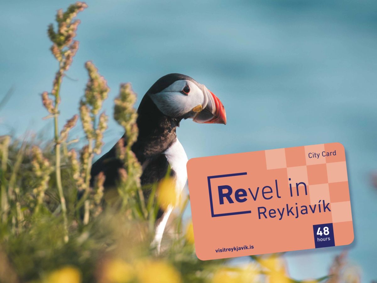 A puffin with a city card graphic