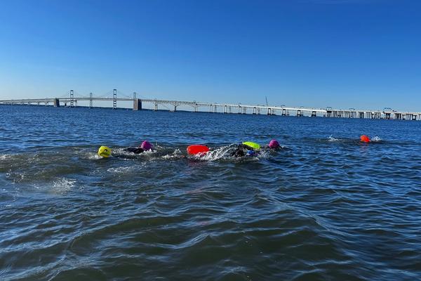 Triathlon athletes swimming in open water
