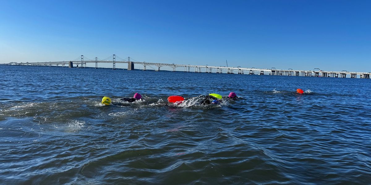 Triathlon athletes swimming in open water
