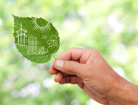 Hånd som holder et grønt blad med figurer av sol, trær, bygning og vindmøller