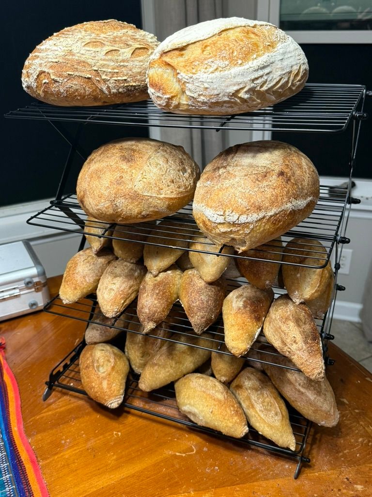 Masa madre