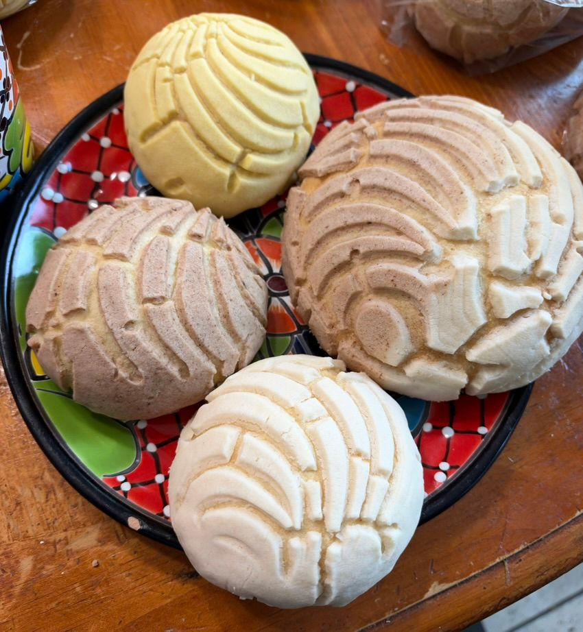 Conchas