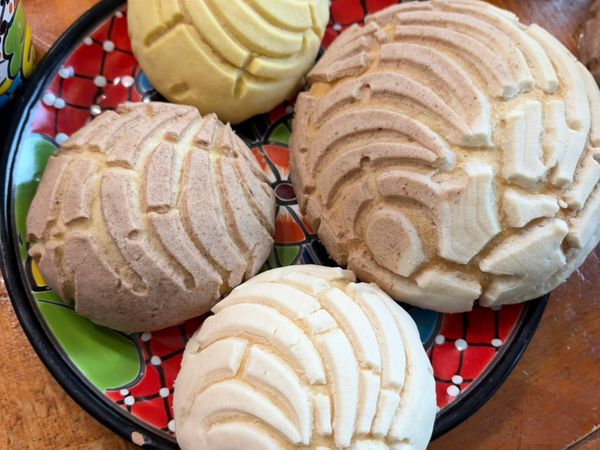 Conchas