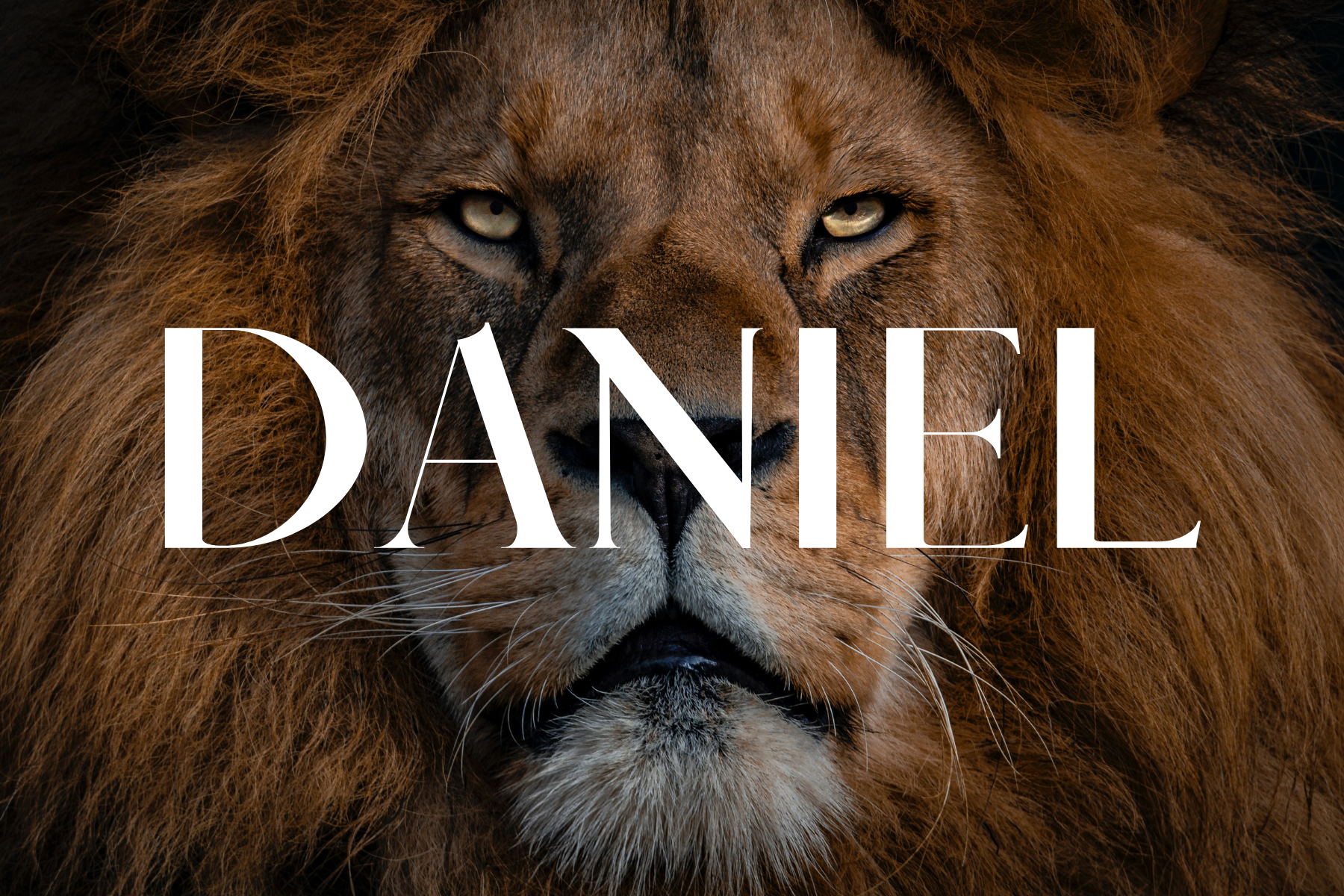Daniel: Godly Living in an Ungodly World