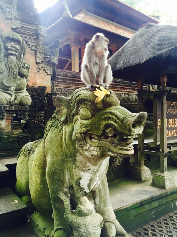 Indonesia photo 32