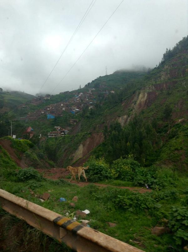 Peru photo 11