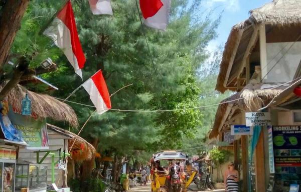 Indonesia photo 46