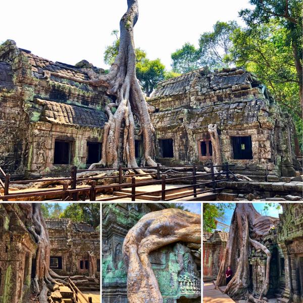 Cambodia photo 31