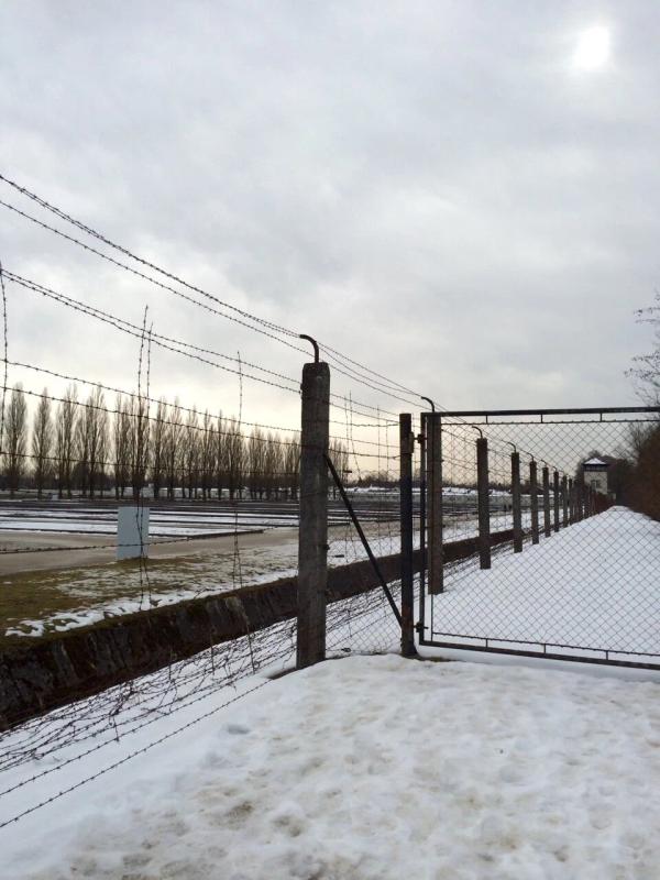 Germany photo 16