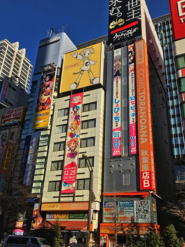Japan photo 41