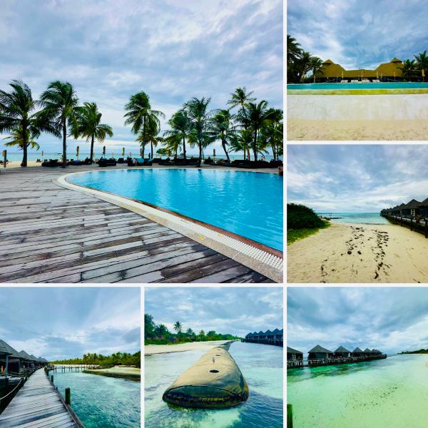 Maldives photo 12