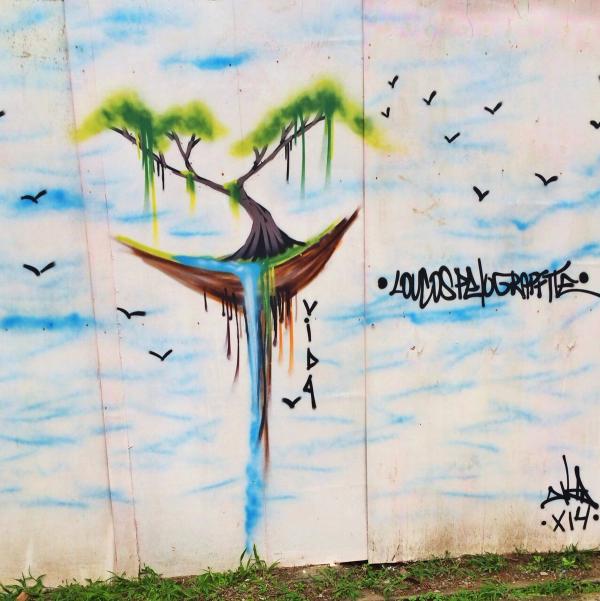 Brazil photo 39