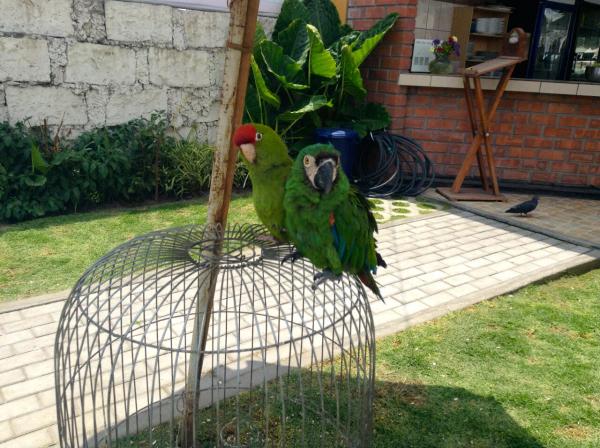 Peru photo 14