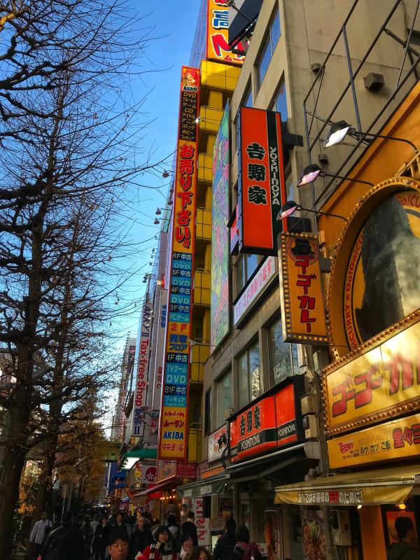 Japan photo 42