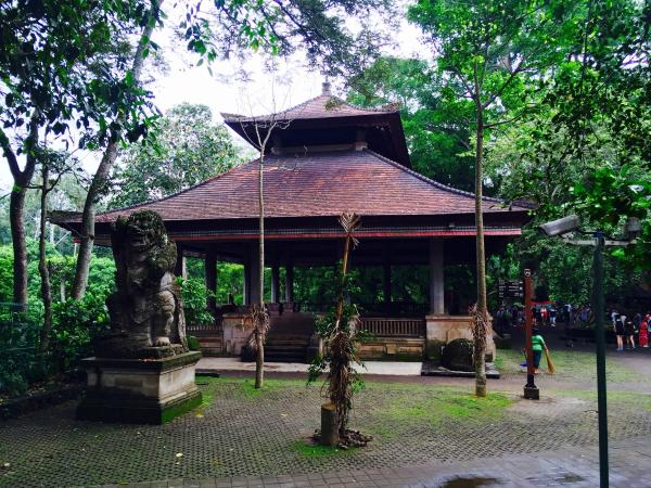 Indonesia photo 41