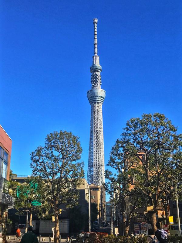 Japan photo 18