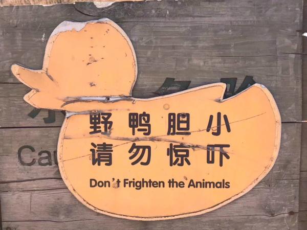 China photo 45