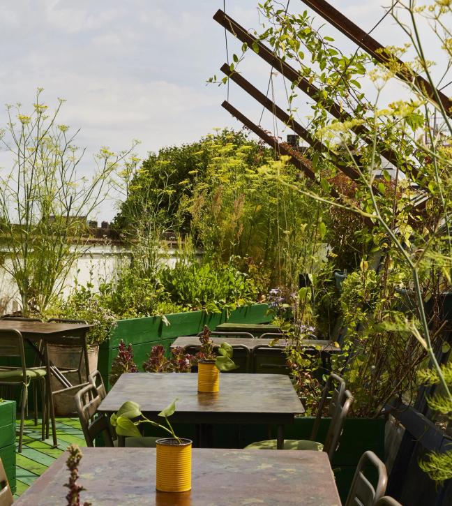 The Culpeper rooftop