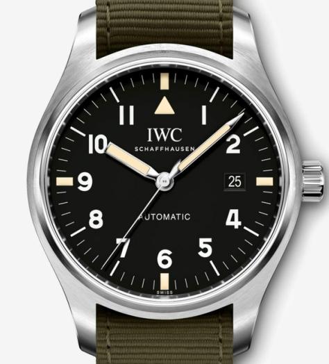 The Pick: The heritage wristwatch with an indestructible strap