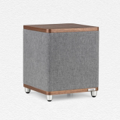 Ruark RS1 Subwoofer