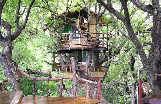 SANYA NANSHAN TREEHOUSE