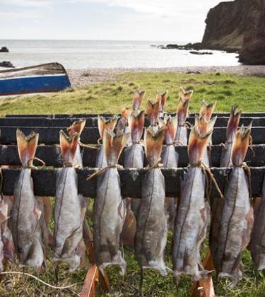 RECIPE OF THE WEEK – Smoked Fish Creams