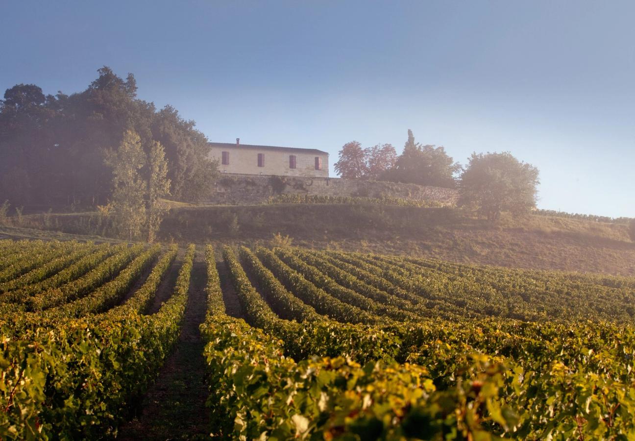 Château Quintus wine