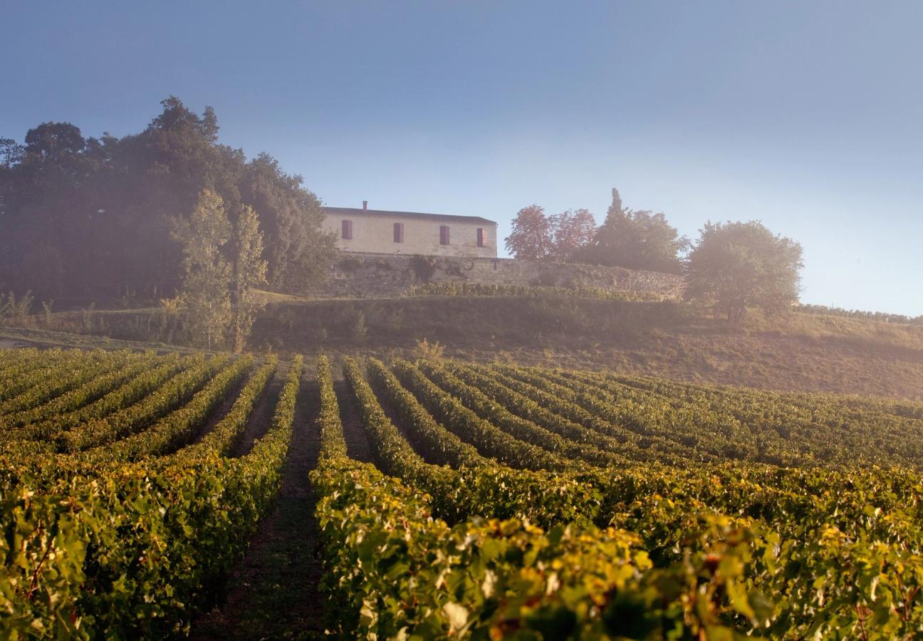 Château Quintus wine