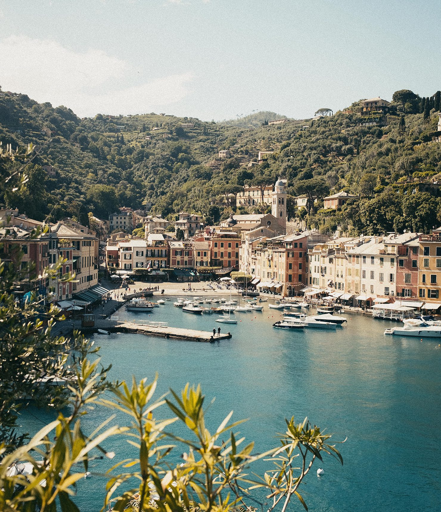 Gin Mania: Portofino Dry Gin, il gin 100% italiano che porta i profumi  della riviera ligure nel mondo, Wine Reporter