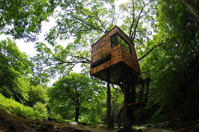 amazing-treehouses-6